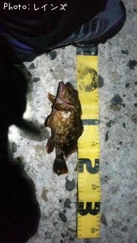 �������������Υ�