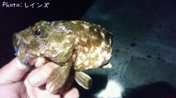 �������������Υ�