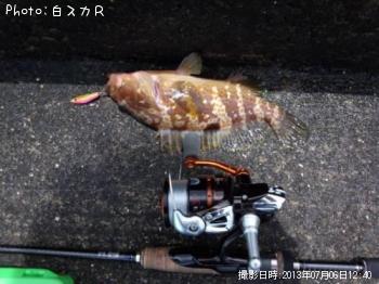 �����ϥ�