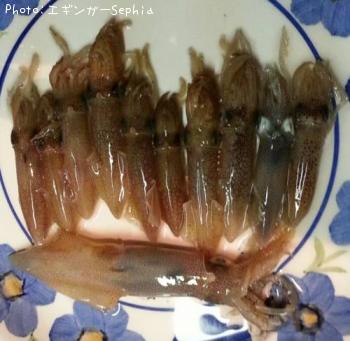 �ҥ�������ꥤ��