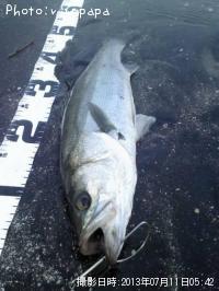 �����Х�