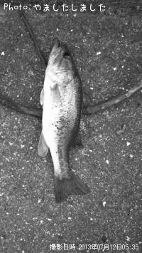 �֥�å��Х�