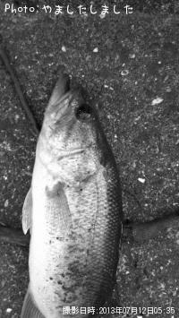 �֥�å��Х�