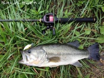 �֥�å��Х�