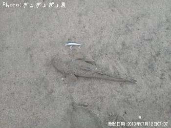 �ޥ���