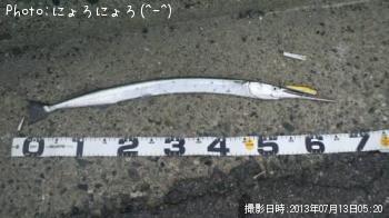 ¥À¥Ä¡Ê¡Ý¡²¡Ý¡¨¡Ë