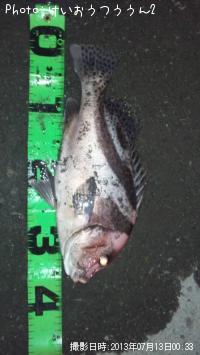 �����祦����