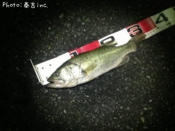 ¥Ö¥é¥Ã¥¯¥Ð¥¹