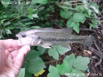 �֥�å��Х�