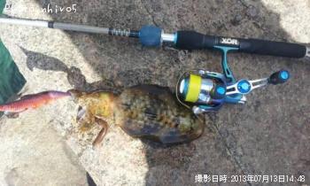 �����ꥤ��