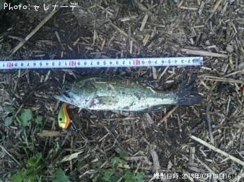 �֥�å��Х�