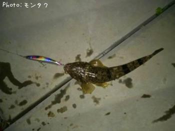 �ޥ���