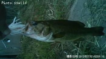 ¥Ö¥é¥Ã¥¯¥Ð¥¹