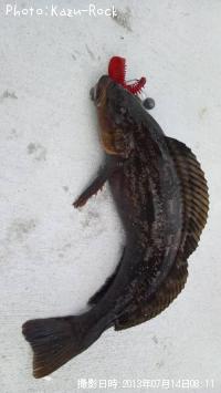 �����ʥ�