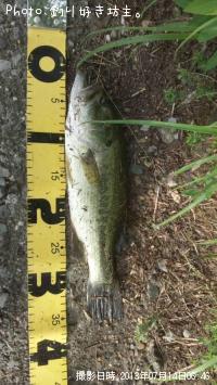 ¥Ö¥é¥Ã¥¯¥Ð¥¹