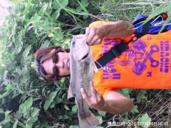 �֥�å��Х�