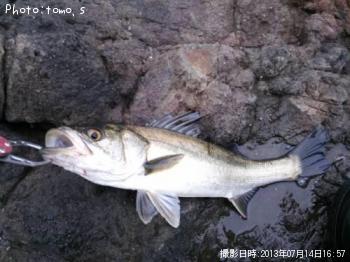 �����Х�