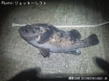 ��饽����