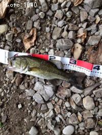 �֥�å��Х�