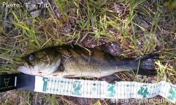 �֥�å��Х�