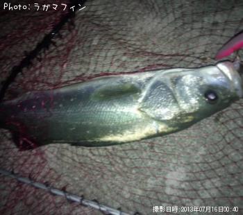 �����Х�