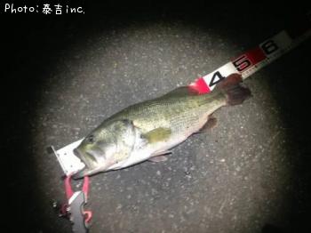 �֥�å��Х�