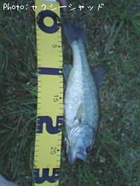 ¥Ö¥é¥Ã¥¯¥Ð¥¹