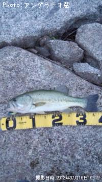 ¥Ö¥é¥Ã¥¯¥Ð¥¹