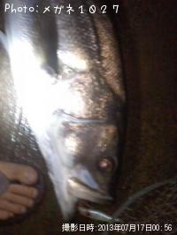 �����Х�