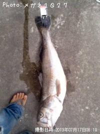 �����Х�