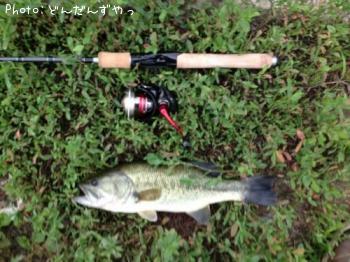 ¥Ö¥é¥Ã¥¯¥Ð¥¹