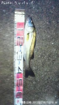 �����Х�