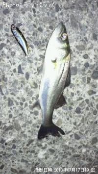 �����Х�