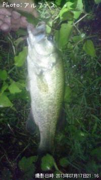 ¥Ö¥é¥Ã¥¯¥Ð¥¹