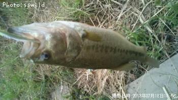 ¥Ö¥é¥Ã¥¯¥Ð¥¹