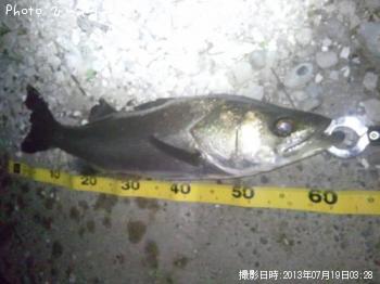 �����Х�