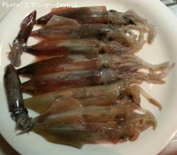 ¥Ò¥¤¥«¡õ¥ä¥ê¥¤¥«