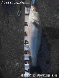 �����Х�