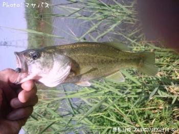 �֥�å��Х�