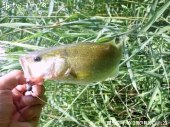 �֥�å��Х�