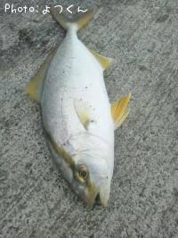 ���ޥ���