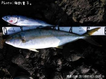 �ҥ�ޥ����ҥ�ޥ�����