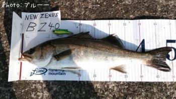 �����Х�