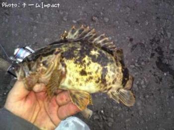 ¥¿¥±¥Î¥³¥á¥Ð¥ë