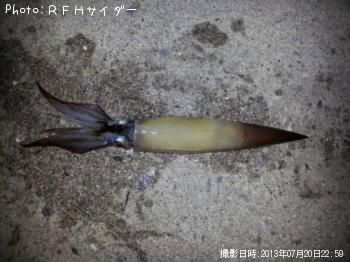 ����ᥤ��