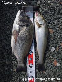 �����Х�����������