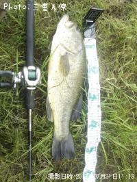 �֥�å��Х�