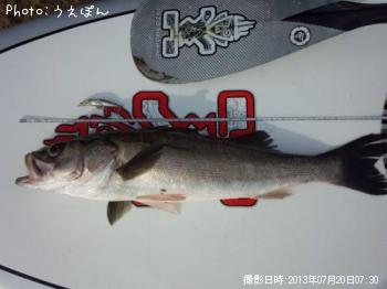 �����Х�