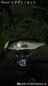 �֥�å��Х�