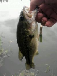 �֥�å��Х�